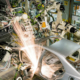 Produzione nell'automotive